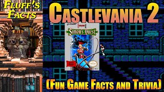 Castlevania 2 Facts | Video Games 101