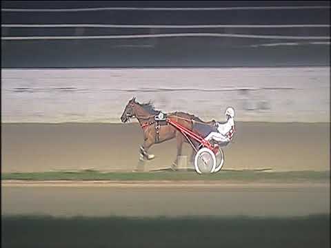 Trotto 03/01/2020 - 7ª corsa