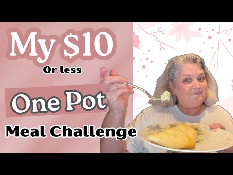 My Easy & Affordable $10 One Pot Meal challenge || @MyBeautifulChaos93 