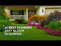10 Best Flowers That Bloom In Summer Season For Beginners