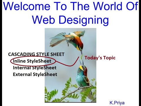 Lecture 6 Inline Css