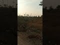 Lucky Ali Jaane Kya Dhoondta Hai Ye Mera Dil Ye Zindagi