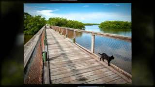 preview picture of video 'Historic Spanish Point, Osprey, Florida'