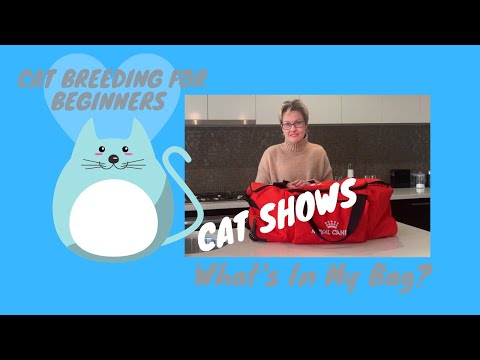 Preparing for a Cat Show, What's in My Bag - Cat Breeding For Beginners, Cattery Advice for Breeders