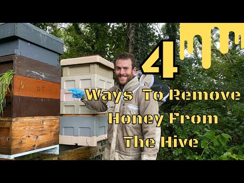 Different Ways Of Removing Honey Supers From The Hive.    Shaking, Brushing, Blowing, Clearer Boards