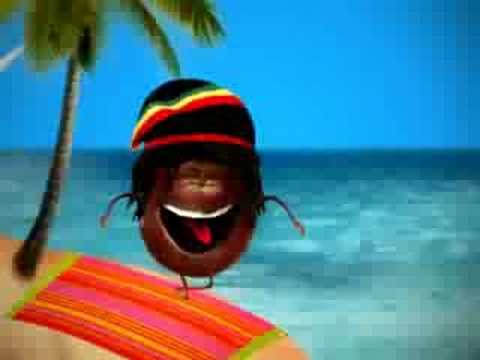 Oasis Fruit Band - Raggamufruit