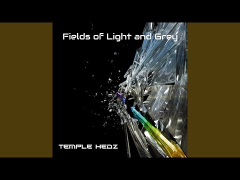 Fields of Light and Grey