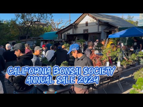 Experience California Bonsai Society Annual Sale 2024