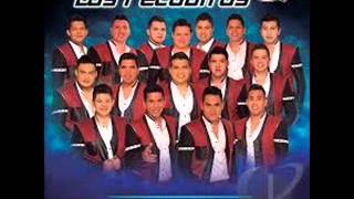 Banda Los Recoditos Shot- audio original