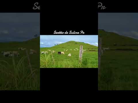 Sertão de Sulina Pr #deus #turismo #fazenda #interior #paz #viral #shorts #fé #jesus #viajar #trip