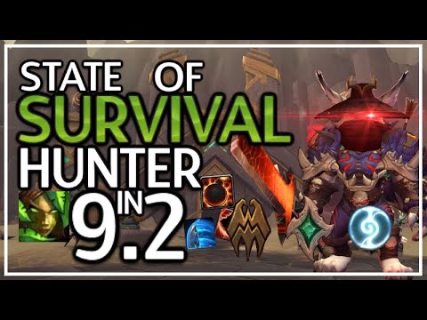 [9.2] State of the SURVIVAL Hunter | Covenants, Legos etc