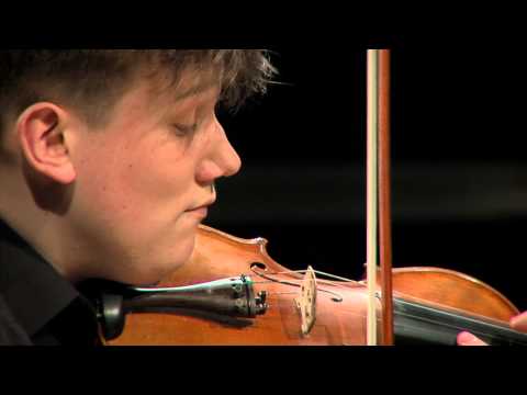 Antonio Bazzini - La ronde des lutnis