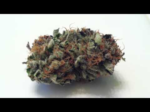 Master Bubba Kush - LA Bud Smoke in Los Angeles