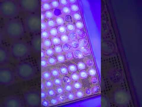 How to Fix Bad CPU Pins | A15 processor pin fix