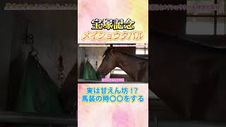 #競馬 #宝塚記念 #メイショウタバル