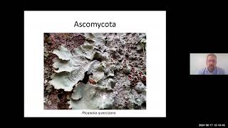 Adventures in Lichenology