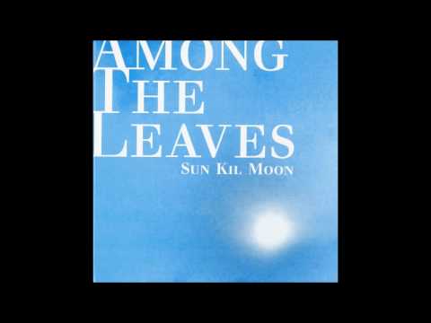 I Know Its Pathetic But That Was The Greatest Night Of My Life - Sun Kil Moon