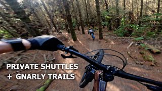 Riding the BEST Mountain Bike Trails @ Redwoods + Private Shuttle!