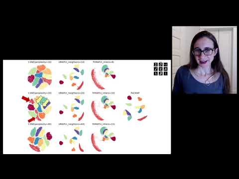 PaCMAP: An algorithm for dimension reduction