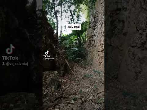 choj nej saib lub qab tsuas nplaub hau | VAP channel