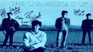 The Chameleons - Swamp Thing  (acoustic)