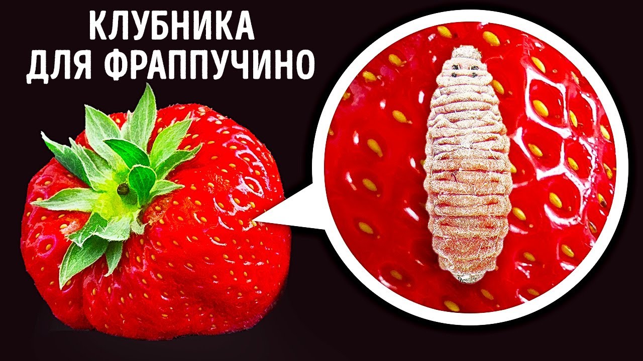 Красные жуки в вашем фраппучино: миф или правда?
