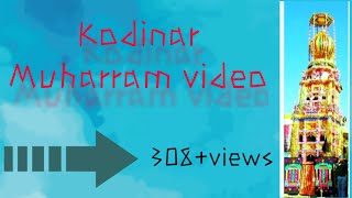 preview picture of video '10 Muharram Kodinar video pani japa dhora nu sin'