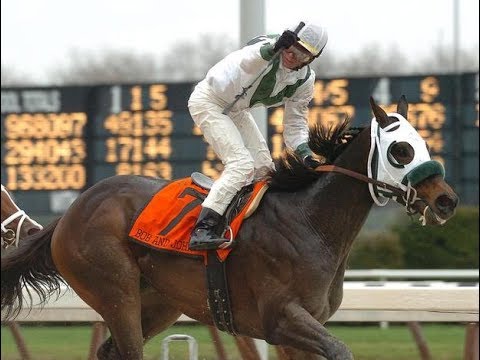 Wood Memorial Stakes (G1)  2006 -  Bob And John
