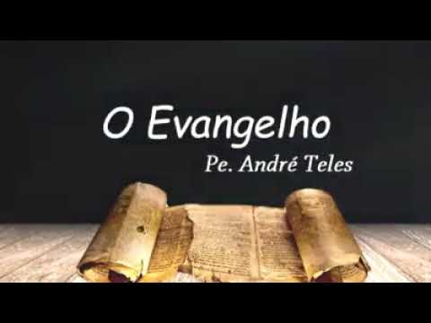 Evangelho do dia 17-08-2020 (Mt 19,16-22) – Padre André Teles
