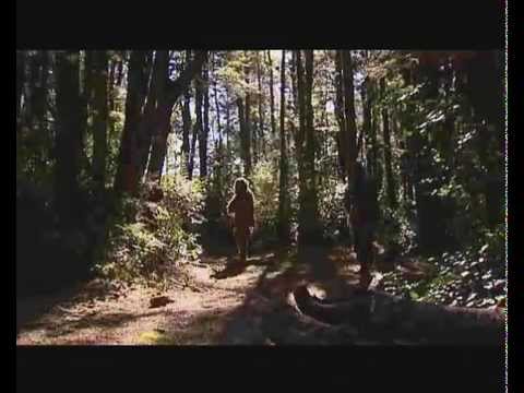 New Zealand SAS Recruiting Video