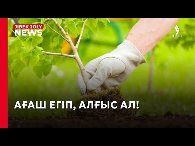 Ауыл тұрғындары 100 түп тал екті