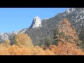 Piper Dellums Productions Presents- PETER DAVISON's-Music from the Heart of the Forest Trailer.mov