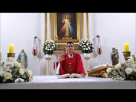 Homilía 22/11/21 - Santa Cecilia, Virgen y Mártir - Lucas 21, 1-4 - El óbolo de la viuda.