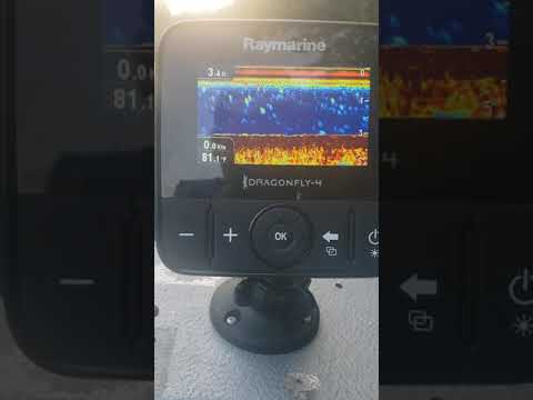 Raymarine dragonfly 4