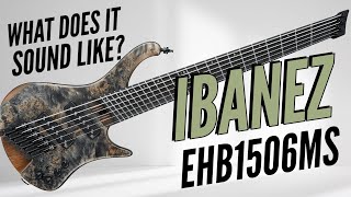 Video thumbnail for Ibanez EHB1506MS - What Does it Sound Like? by Deadbeat Studios