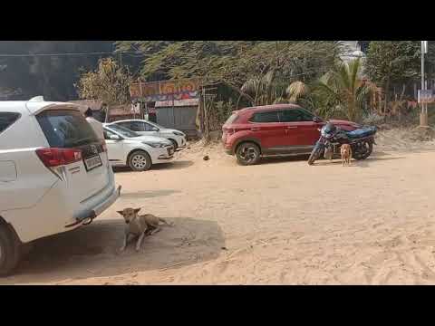 🌹🙏Dagara🙏sea🙏beach🙏🌹