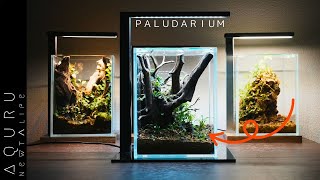 ジャングルのパルダリウム│PALUDARIUM SET UP