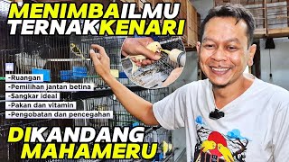 Download lagu TIPS‼️Gain KNOWLEDGE in the Ring MAHAMERU livestock pen... mp3