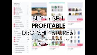 Buy or Sell a Dropshipping Store with Shopify Exchange Marketplace