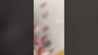 Power of the Paradise🌹✨✨