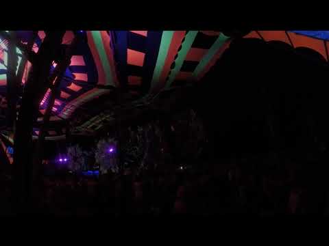 YANOMAMI FESTIVAL 2019/2020 - POP ART