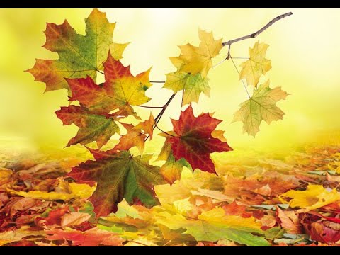 HVALA 🍂 - Jovan Jovanović Zmaj  #pesmezadecu #čikajovazmaj #zmaj #2razred