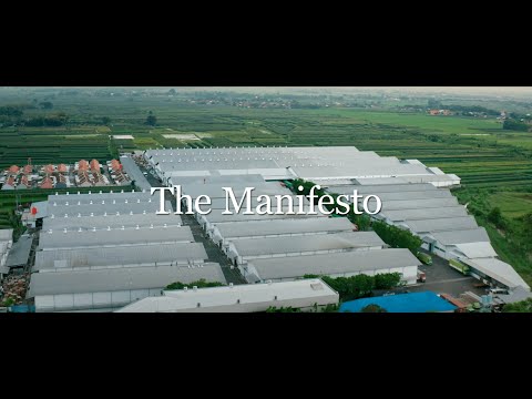 Chapter Five: The Manifesto