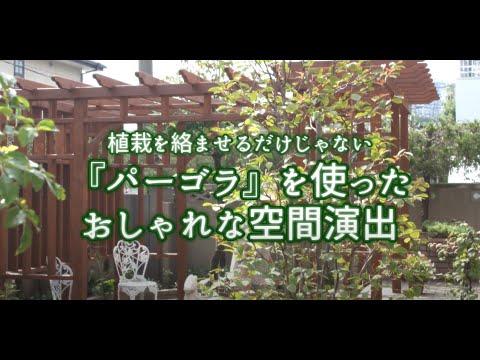 園芸 モダンなテラスのための生物気候パーゴラ