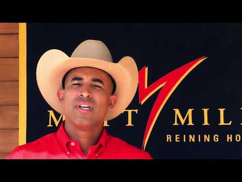 How to Teach Your Horse How to Spin   PART 2