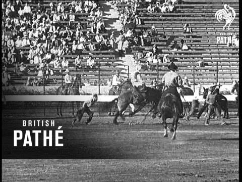 "Ride 'em Cowboy!" (1932)