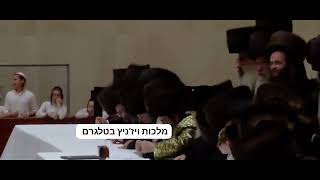 סמחה בית השואב 5786 עם האדמו"ר ויזניצר