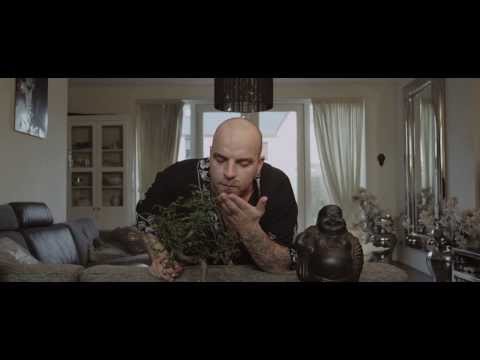 De nieuwe Andy van der Meijde