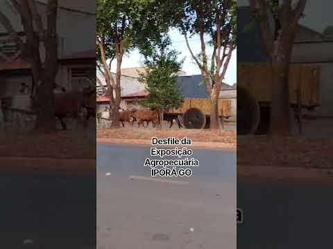 Desfile da Exposição Agropecuária de Iporá GO - Julho 2026 #interiordegoias