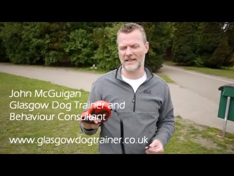 How to properly use a flexi/extending lead